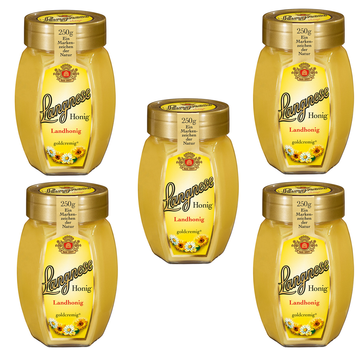 Langnese Land Honey Creamy Spreadable And Buttery Yellow 250g 5-pack