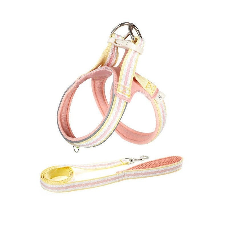 Dog Harness With Leash, Soft Padding, Adjustable