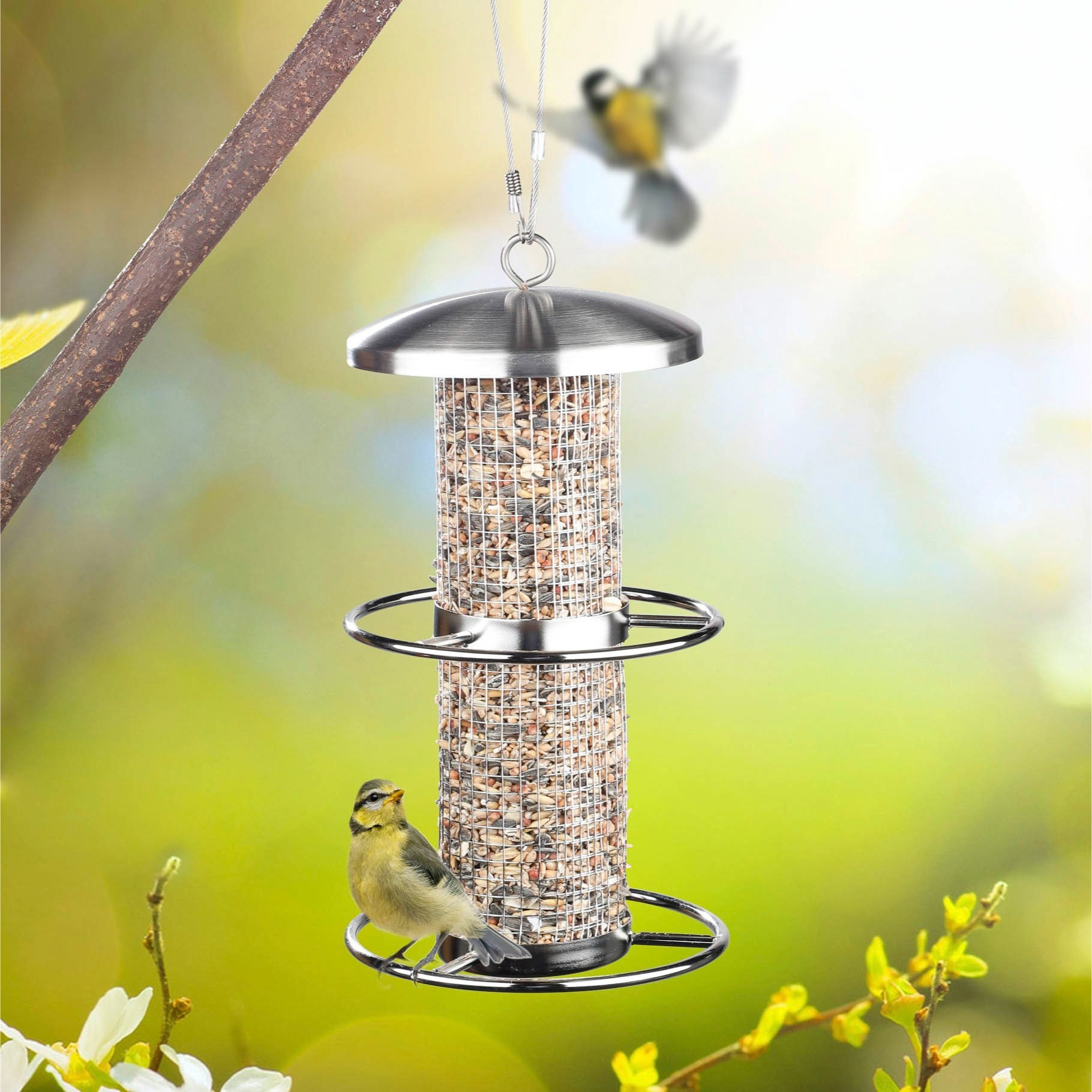 Image of Stainless Steel Bird Feeding Station, Wild Bird Feeder, Bird Feeding Pole, Wild Bird Feeding House