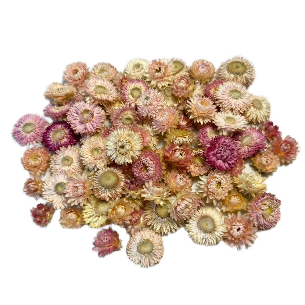 TEMU Têtes de fleurs séchées () , Fleurs décoratives séchées, Matériel , Additifs floristiques, Additifs pour bougies, Fleurs pour la décoration,