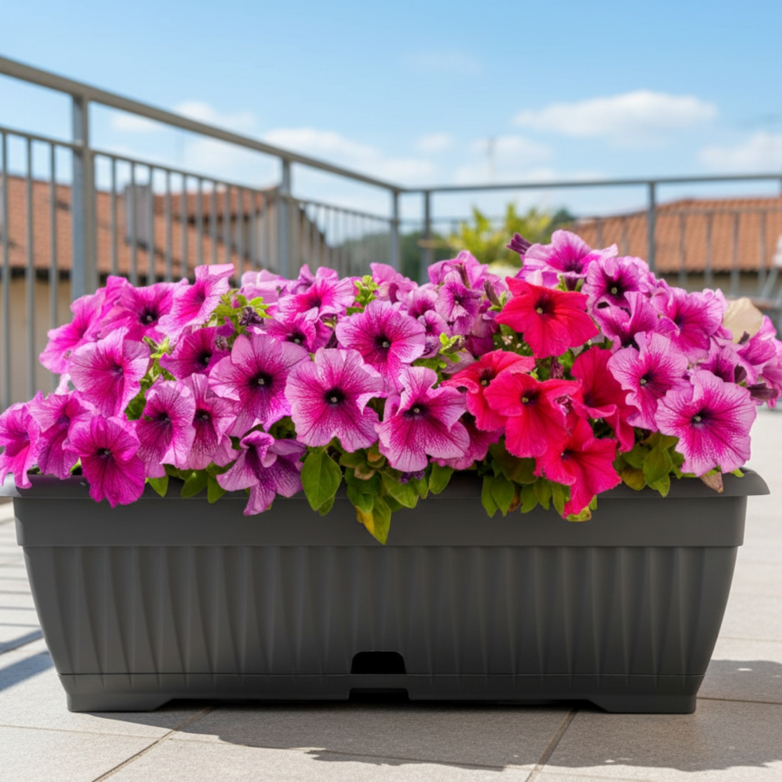 Flower Box With Saucer, 50 Cm Balcony Planter With Water Reservoir