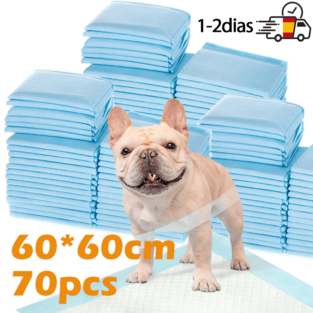 TEMU 70 Pcs Empapadores Perro de Entrenamiento 60*60 cm para Perros Gatos Alfombrilla Toallita Higiénica
