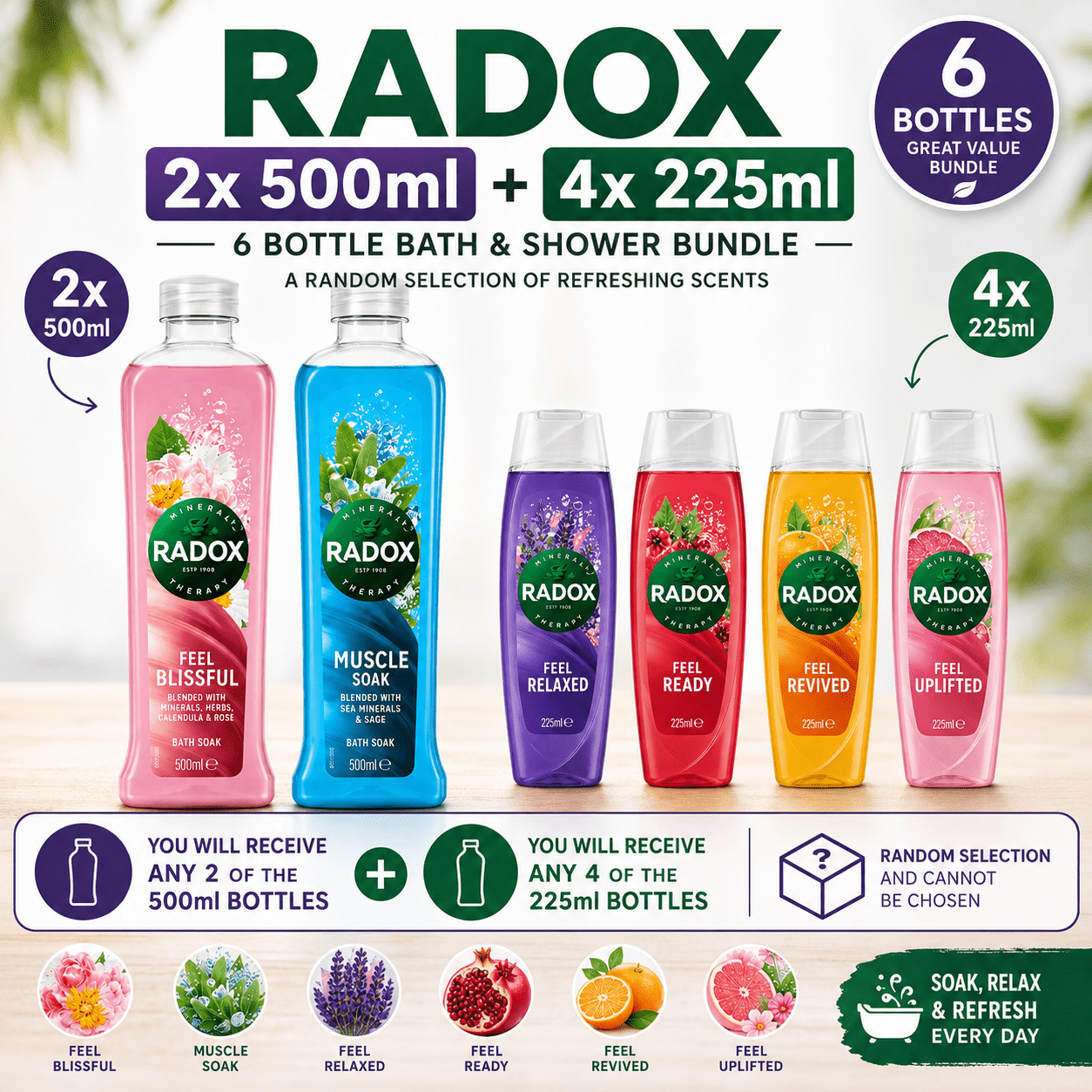 TEMU Radox 6 & Shower Bundle – 2 X 500ml Bath Soak + 4 X 225ml Shower Gel – Random Mixed Fragrances