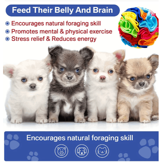 Interactive Snuffle Ball Dog Toy for Natural Foraging Skills