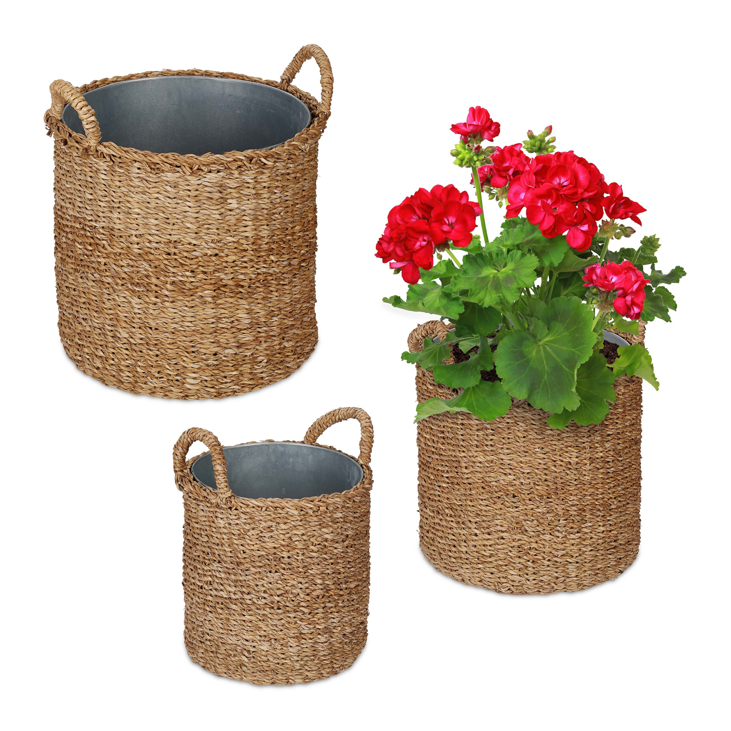 TEMU Plant Baskets With Zinc Tray, Set Of 3, Seagrass And Metal, Natural And Silver, 42 X 37 Cm, 37 X 31 Cm, And 34 X 25 Cm, For Garden, Balcony, And