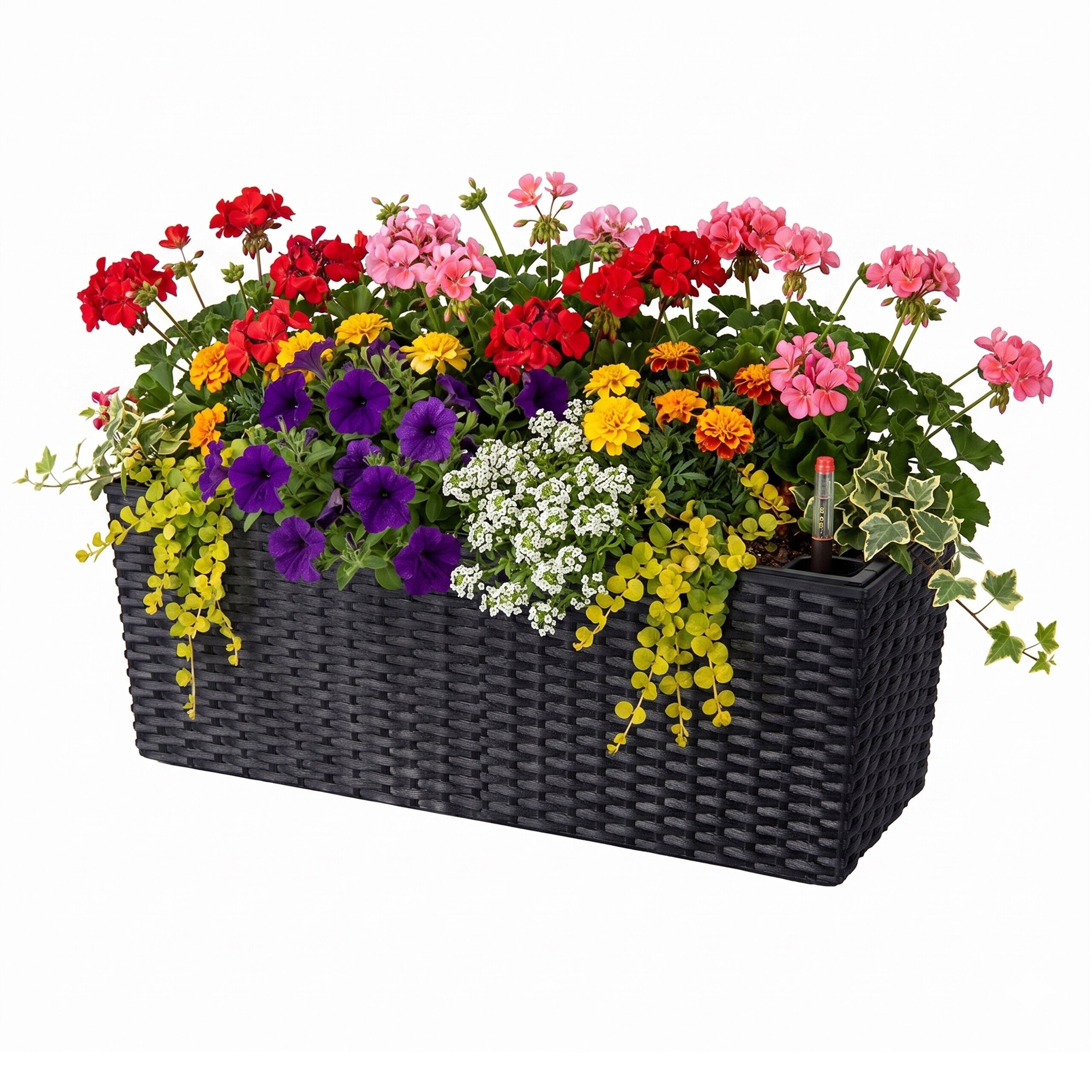 Rattan" In Black - (w)50 X (h)19 X (d)19 Cm