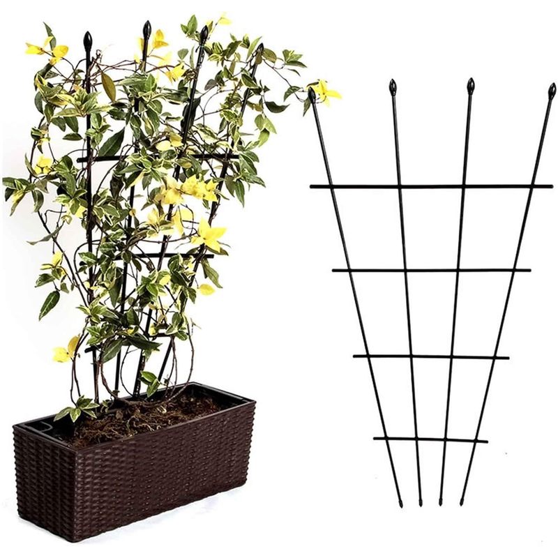Image of 2x Pergola, Fan-shaped Trellis Support For Plants In Pots Lattice 2pcs, For Balcony, For Garden, Support For Climbing Plants, Rose, For Roses, Large Metal