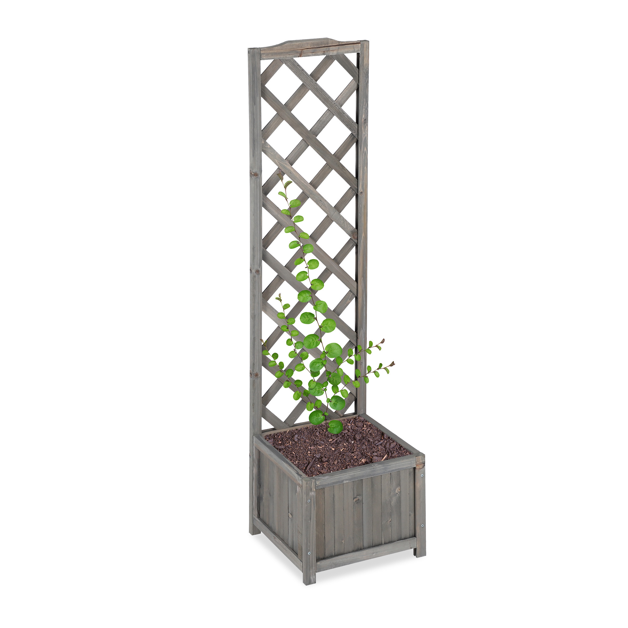 Grey Shelf Unit - (h)147 Cm