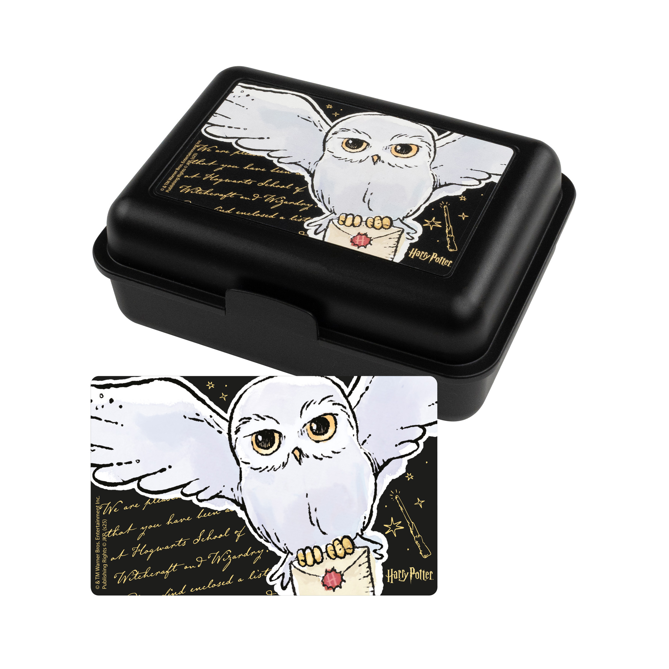 Image of Bread Box - Hedwig Owl Lunchbox With Divider Black