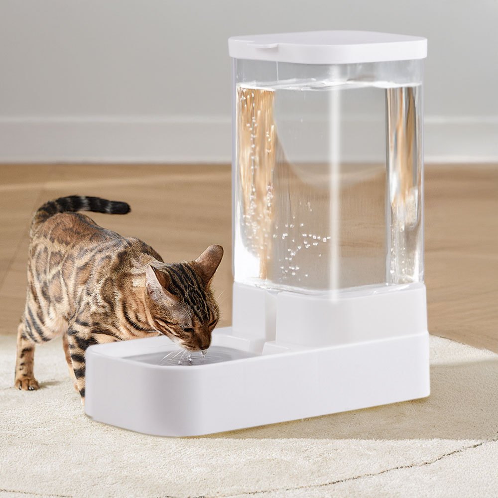 TEMU Pet Water Dispenser Cat Feeder Transparent Cat Food Food Bowl For Cat And Dog Feeding Pet Feeding Station 3.8l Big Capacity Cat Food Dispensers