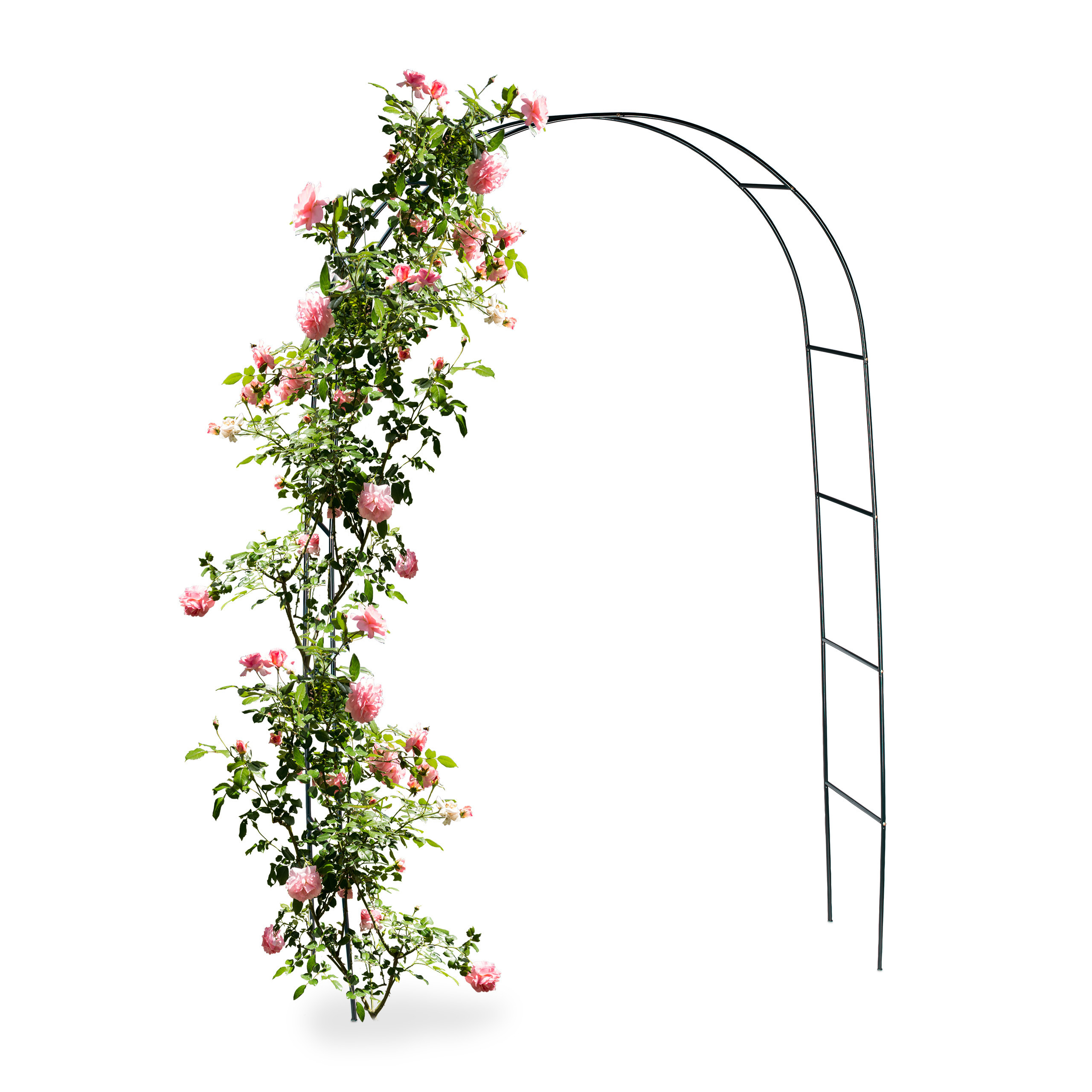 E-shop Rankhilfe in Grün - (B)140 x (H)240 x (T)38 cm