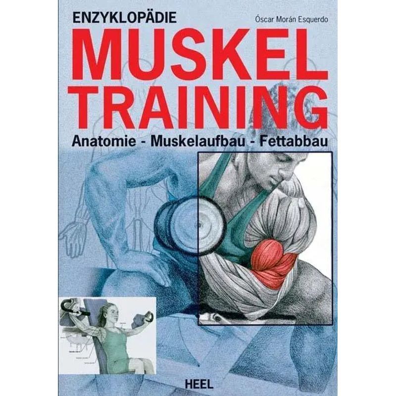 Encyclopedia Of Muscle Training - Anatomy, Muscle Building, Fat Loss - Oscar Moran Esqerdo - Paperback - 336 Pages - German - 2010 - Heel Verlag Gmbh - Ean 9783868521238