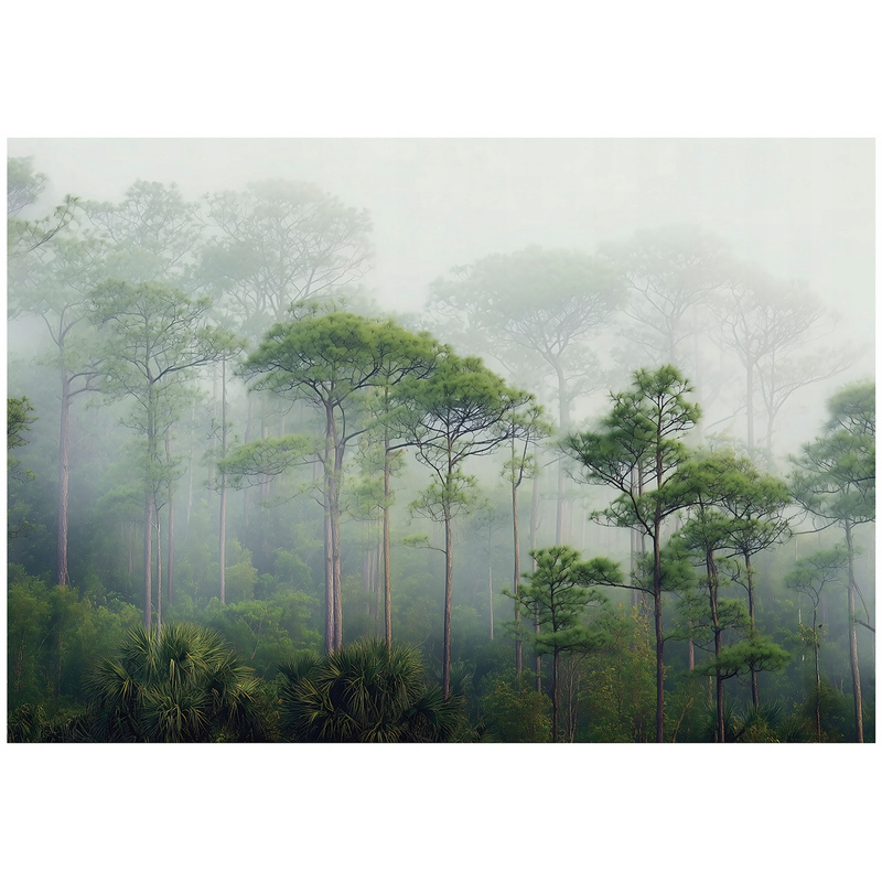 Forest In The Mist Green Wallpaper On Non-woven Fabric For Bedroom, Living Room, Wall Decoration 15814vx