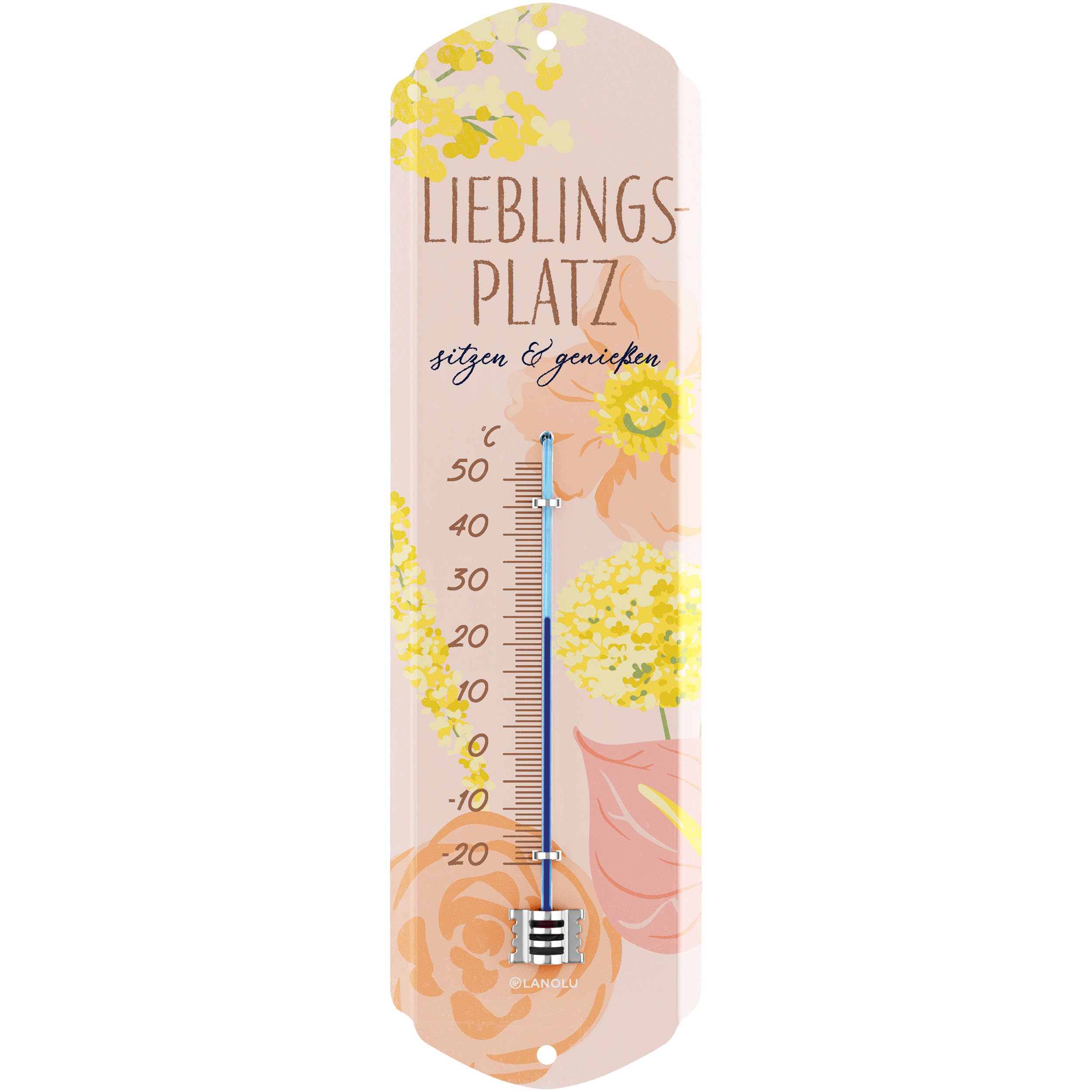 Image of Retro Spot Thermometer For Garden, Balcony, Terrace, Vintage Decorative Sign For Indoor And Outdoor Use, Gift For , 8x28 Cm
