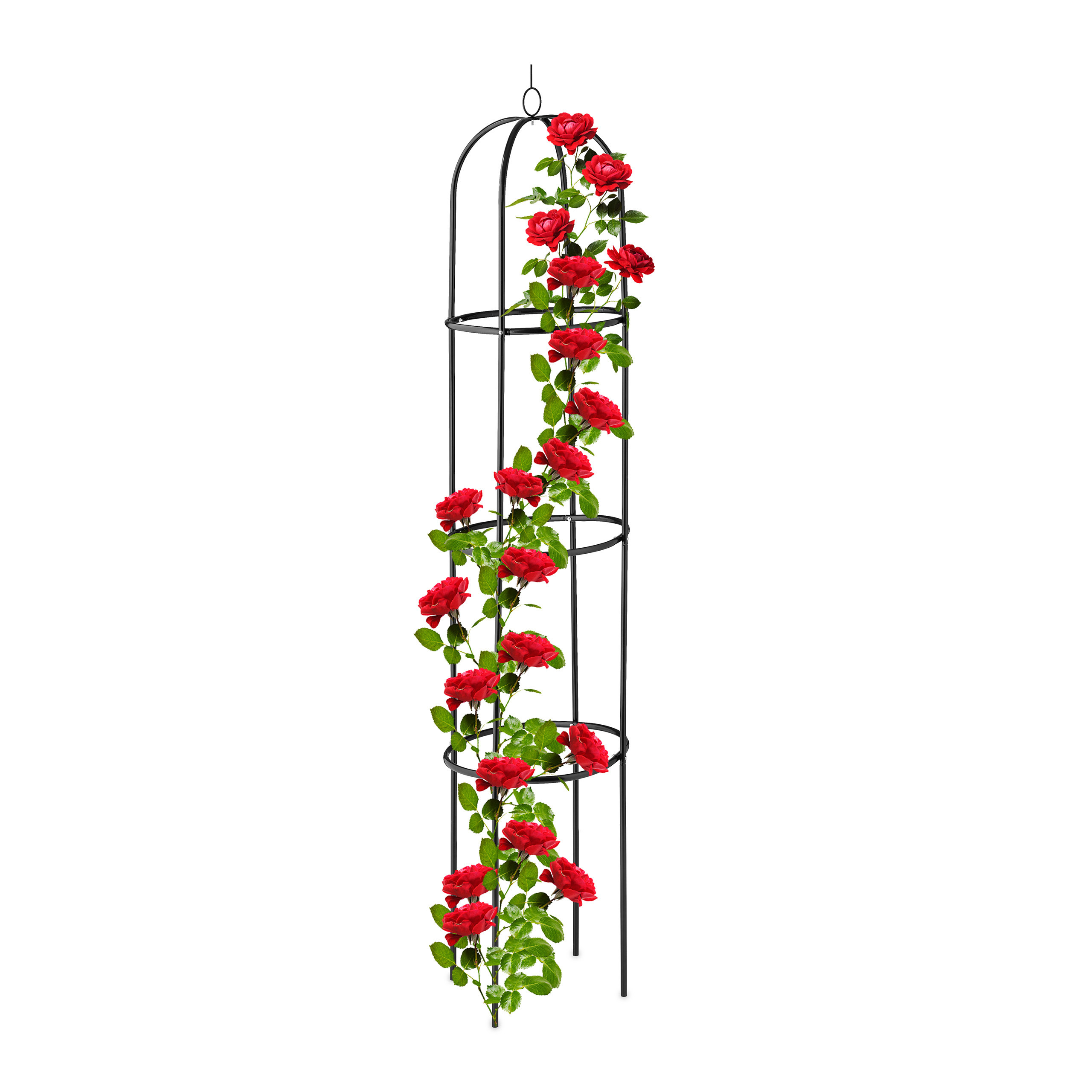 E-shop Rankhilfe in Schwarz - (H)190 cm
