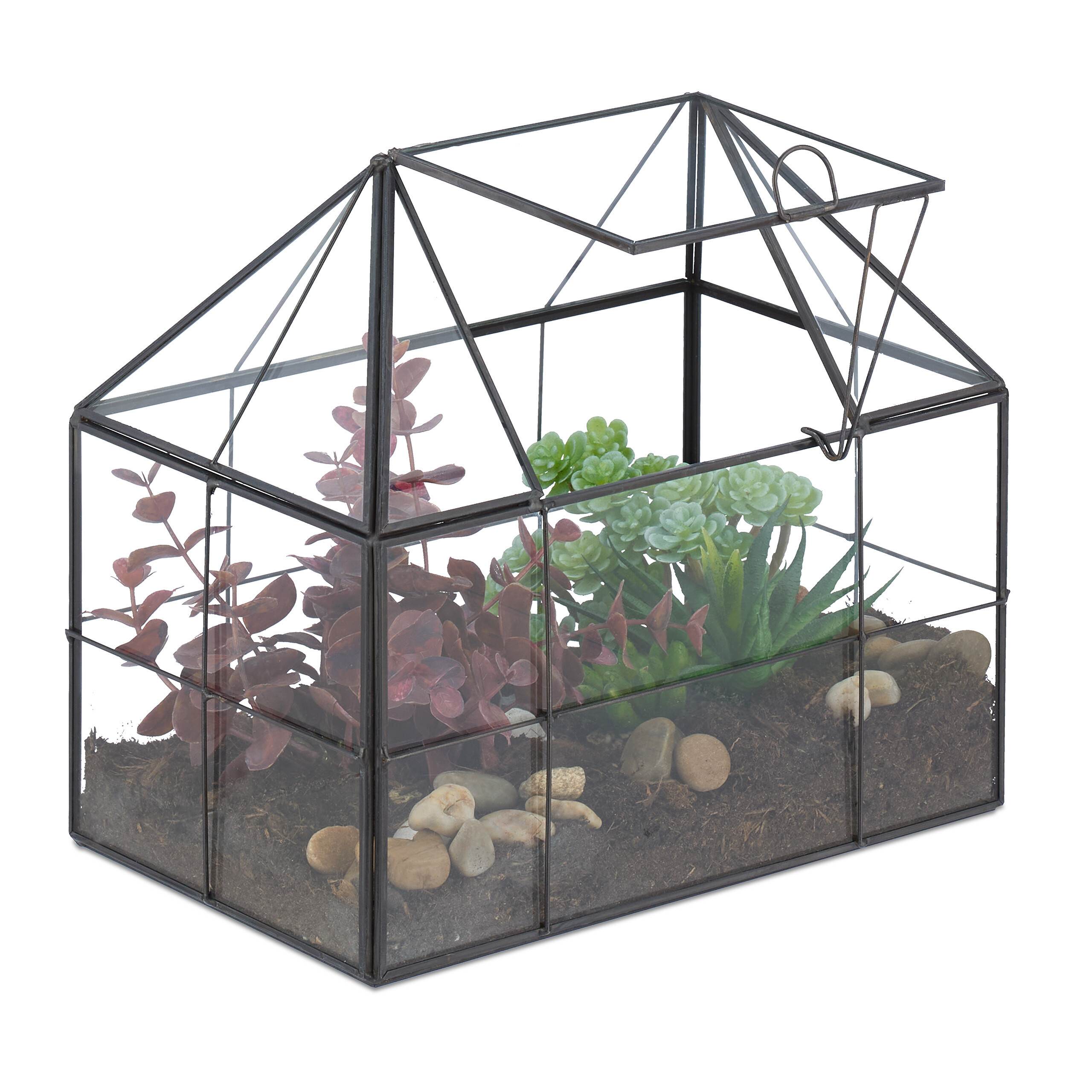 Image of Plant Terrarium "house" In Black - (w)23 X (h)21 X (d)