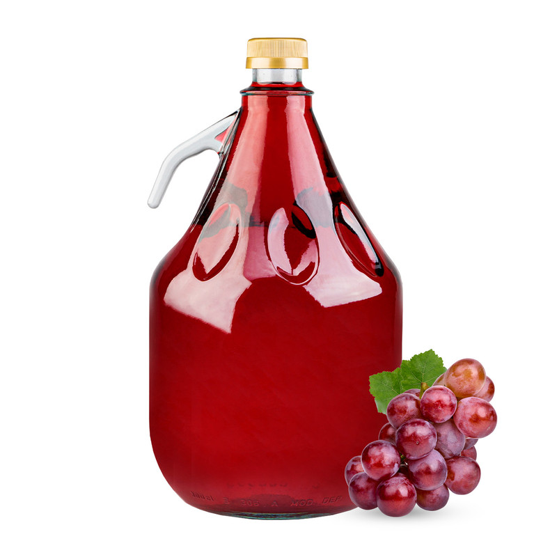 TEMU Ballon à bouchon de canard avec poignée 3 L, idéal pour la fermentation et le stockage de tinctures, et autres boissons faites maison