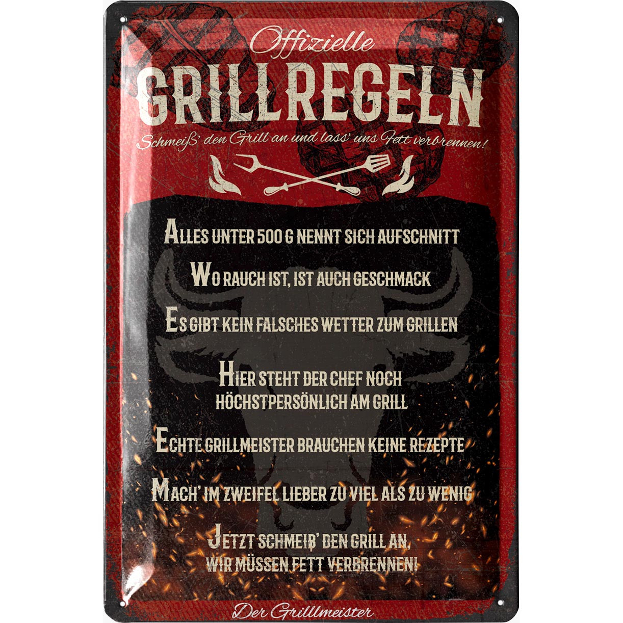 TEMU Blechschild grillen Männer – Grillregeln 2 – Grillen Metallschild, Retro Blechschild für Garten, 20x30 cm