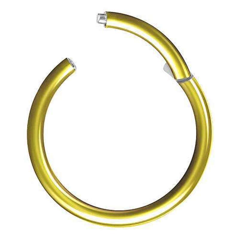 Septum Universal Tragus Helix Piercing Nose Piercing Lip Piercing Hinge Clicker