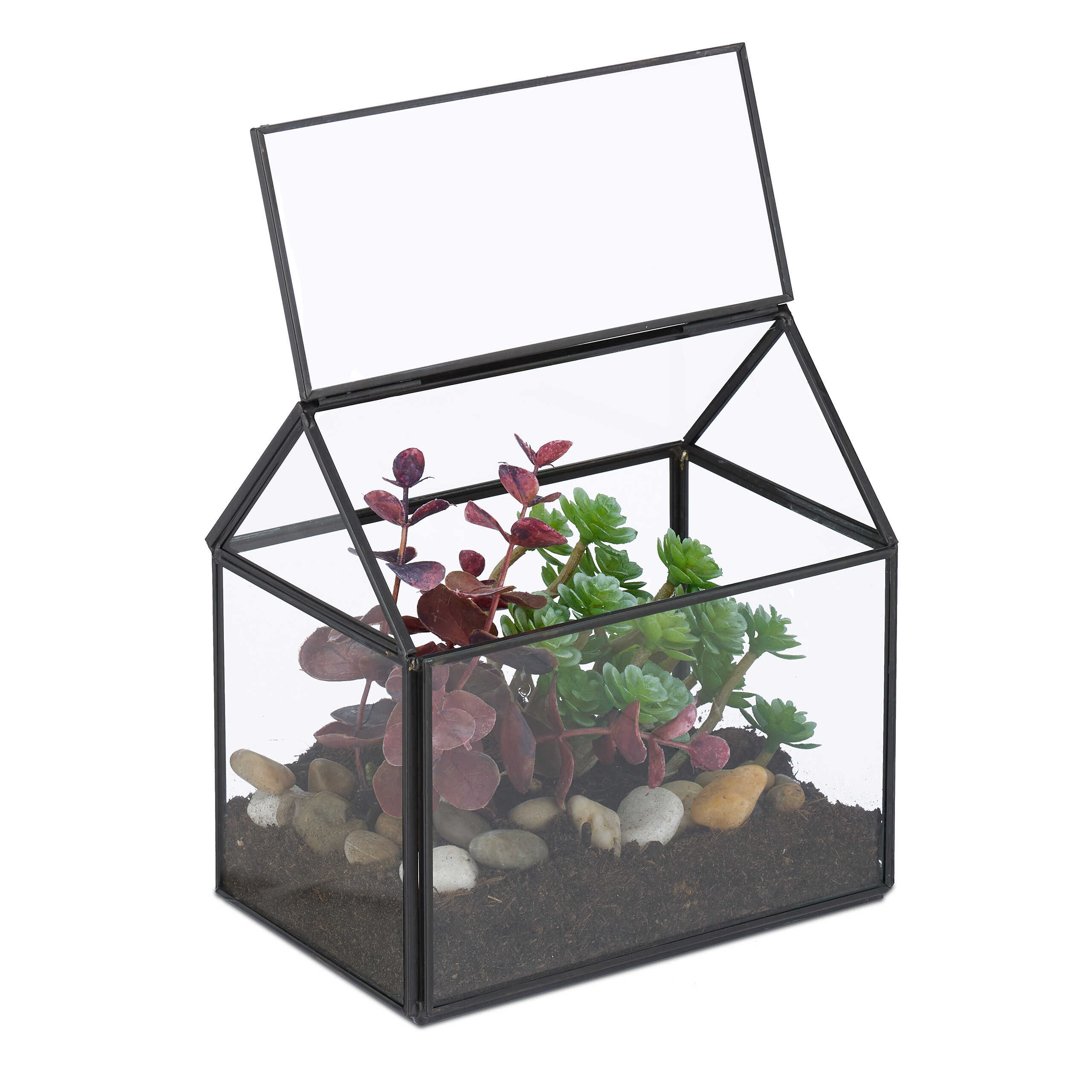 Plant Terrarium "house" In Black - (w)15 X (h)15 X (d)10 Cm
