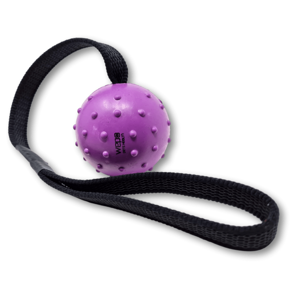 Image of Ball With Rope - Dog Toys - - For Dogs - Dog Toys For Large Dogs - Rubber Ball For Dogs To Throw And Catch In The Garden - With Function