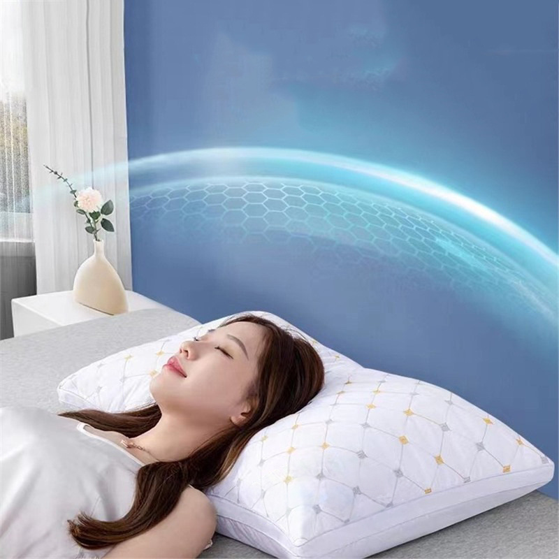 2-Pack Hotel Quality White Double-Border Pillow Insert (74x48cm) | 1000g Premium Polyester Fill for Luxurious Bed Decor, Starry Embroidered Pattern, Zips Closure, Comfortable & Breathable Home Sleep Pillows for Side/Back/Stomach Sleeper, 74*48cm