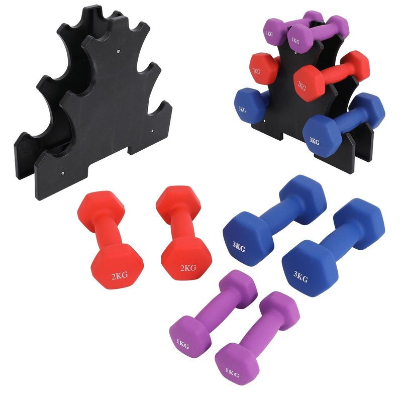 TEMU Dumbbell Weights Set 3 Pairs 1 2 3kg Hex Neoprene Fitness Workout Home Gym 12kg