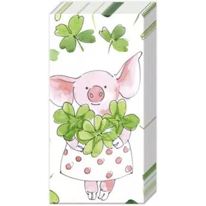 10 Pig Tissues For Exams, 1 Pack