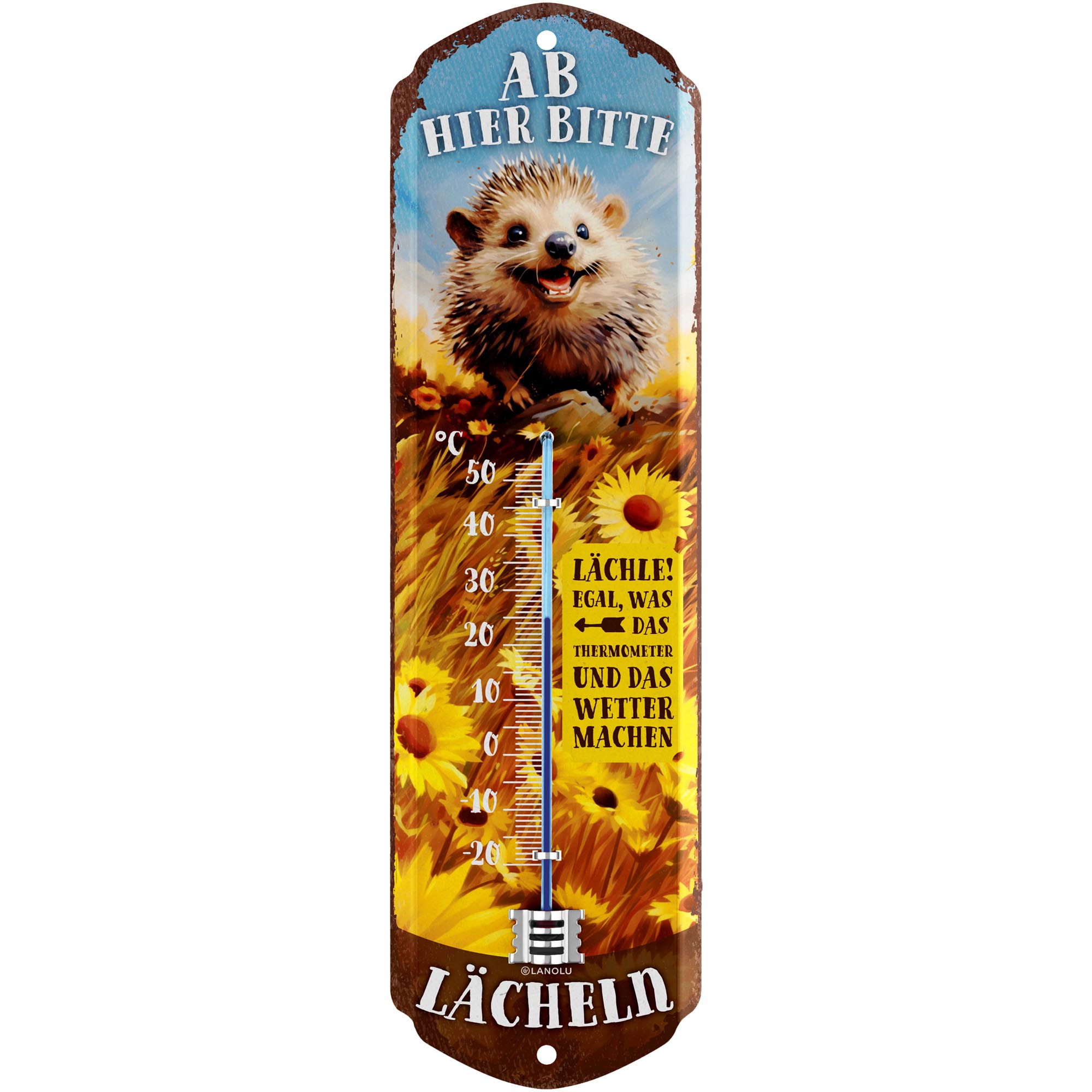 TEMU Smile On, Hedgehog Decor, Garden Sign, Vintage Metal Sign, Retro Garden Decor, Lounge Garden Wall Art - 8x28cm Classic Edition