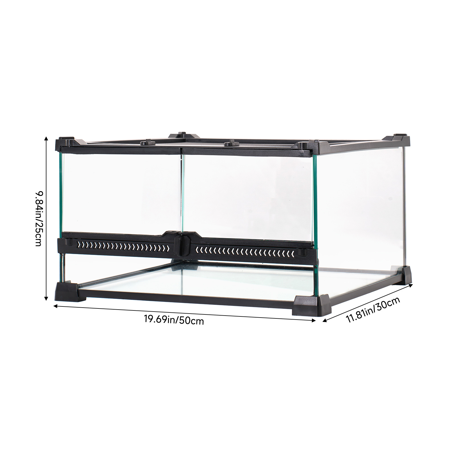 Desktop Rainforest Vivarium for Reptiles and Indoor Decor