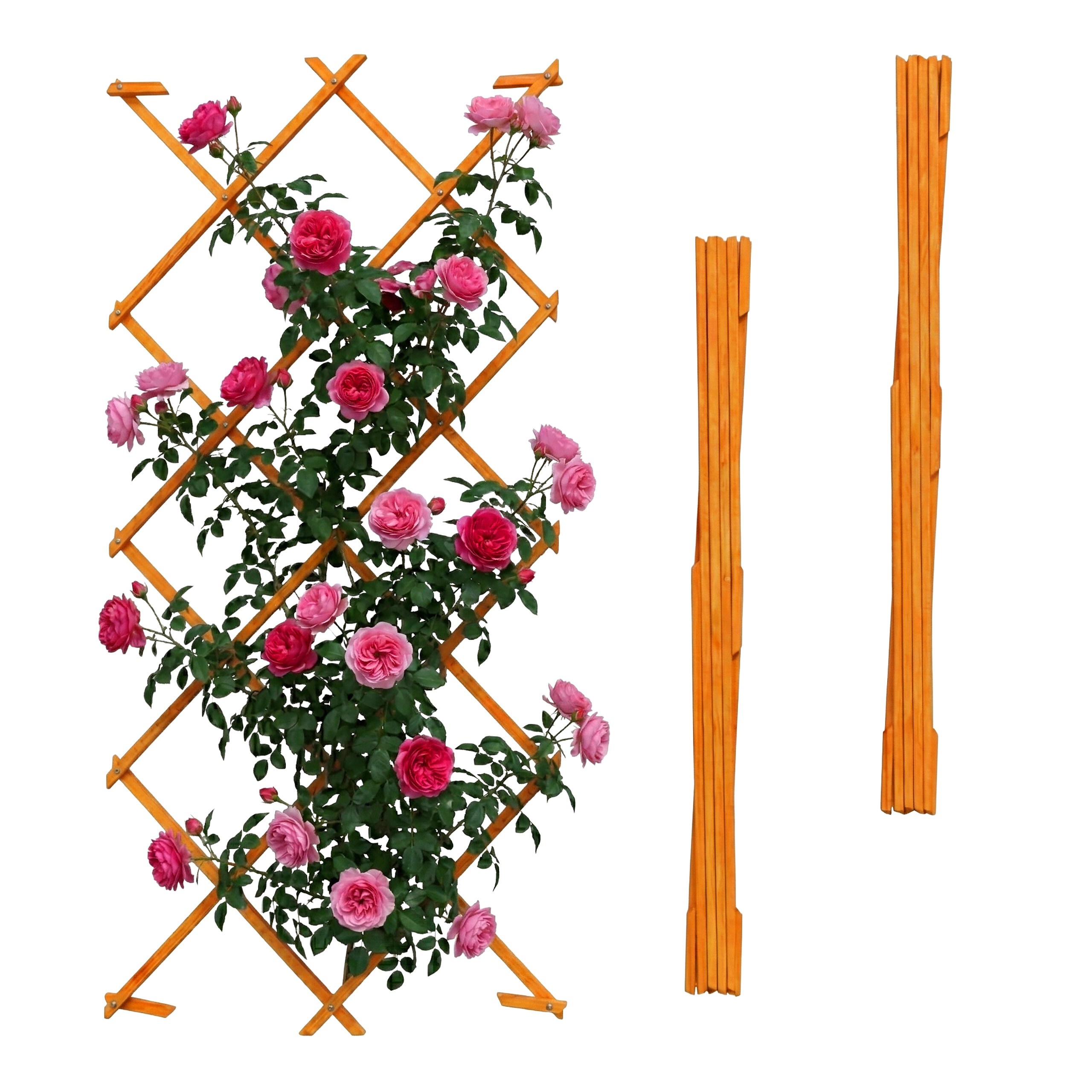 3 Orange Rankgitters - (w)120 X (h)180 Cm