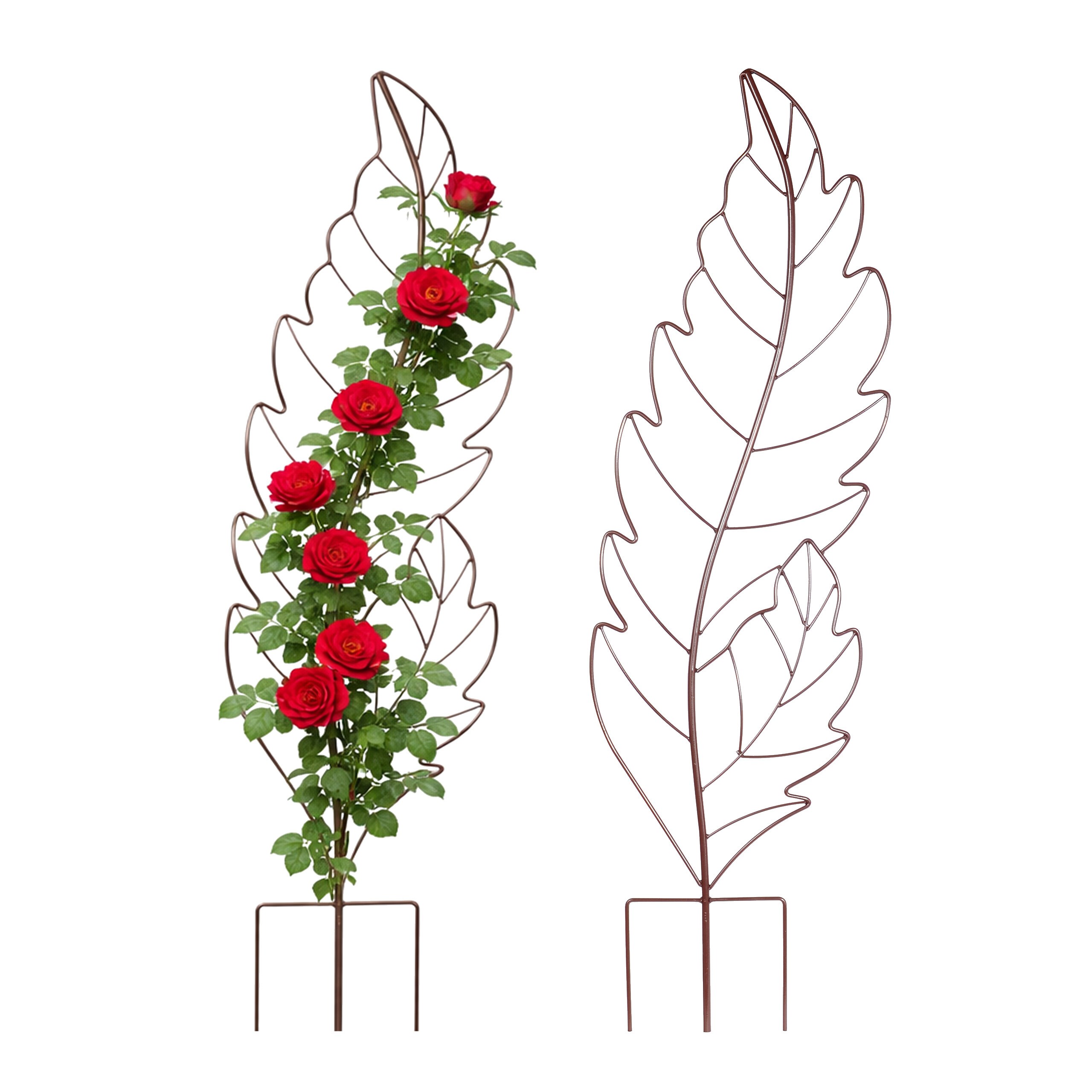 2 X "leaf" Trellis In Brown - (w)30 X (h)100 Cm