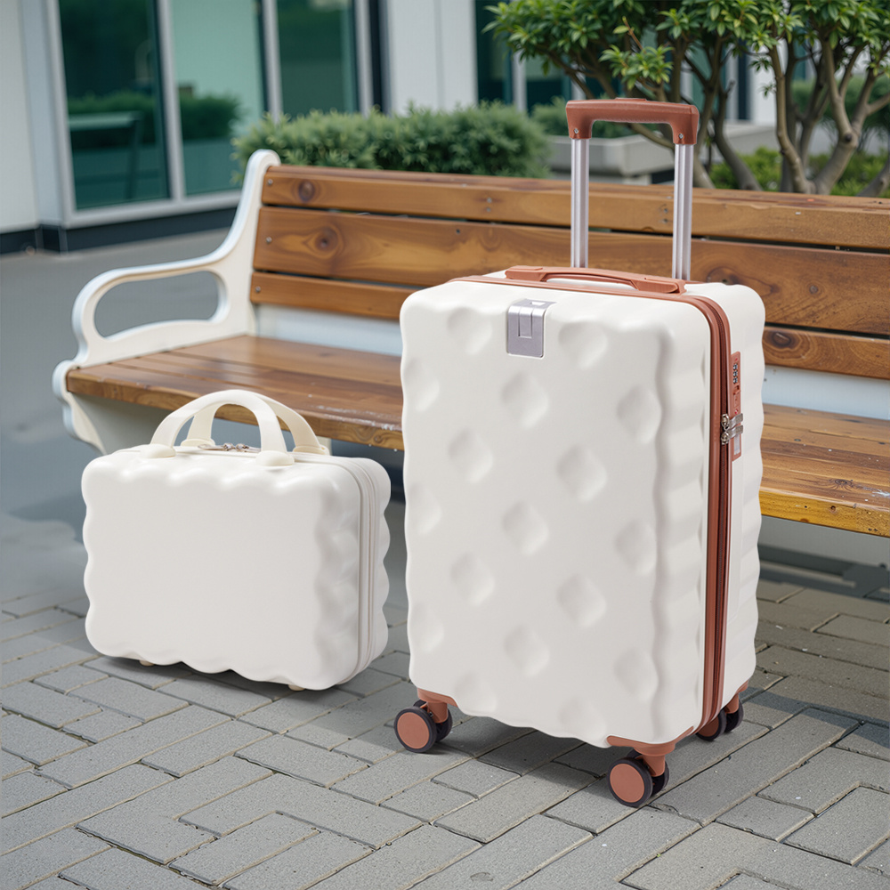 Hard Shell 2-Piece Luggage Set with TSA Lock