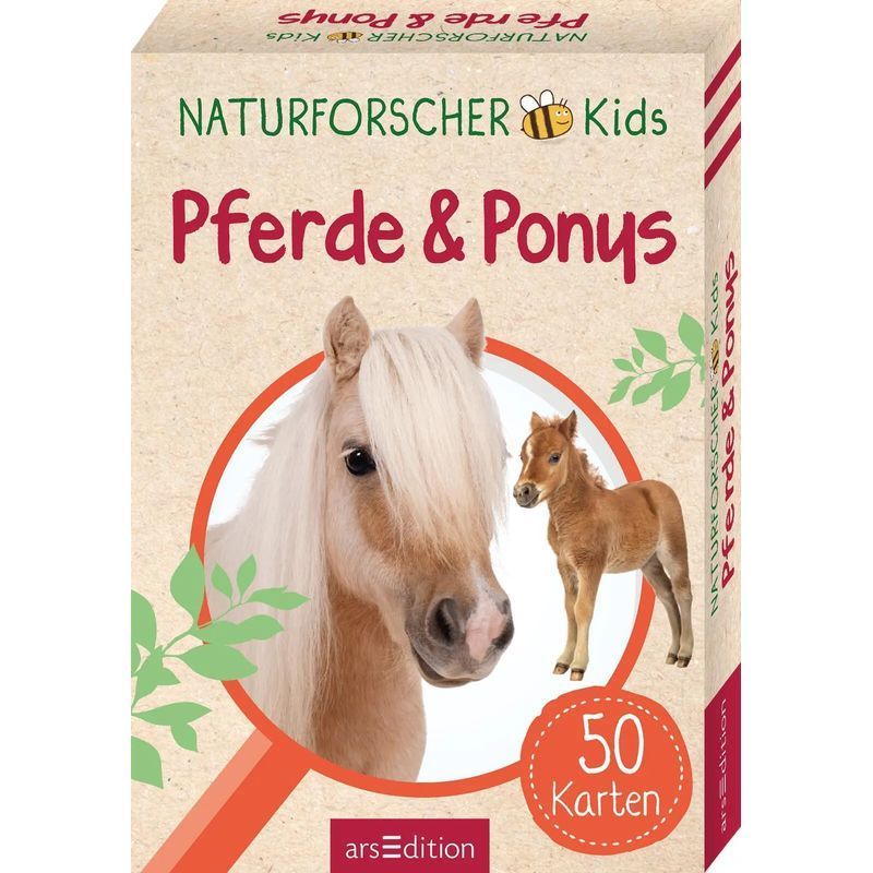 Nature Researchers Kids Horses & Ponies - Paperback - 50 Cards - Miriam Scholz - 50 Pages - German - 2024 - Arsedition Gmbh - Ean 9783845856582