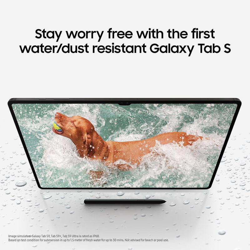 Galaxy Tab S9 Ultra 5G 14.6