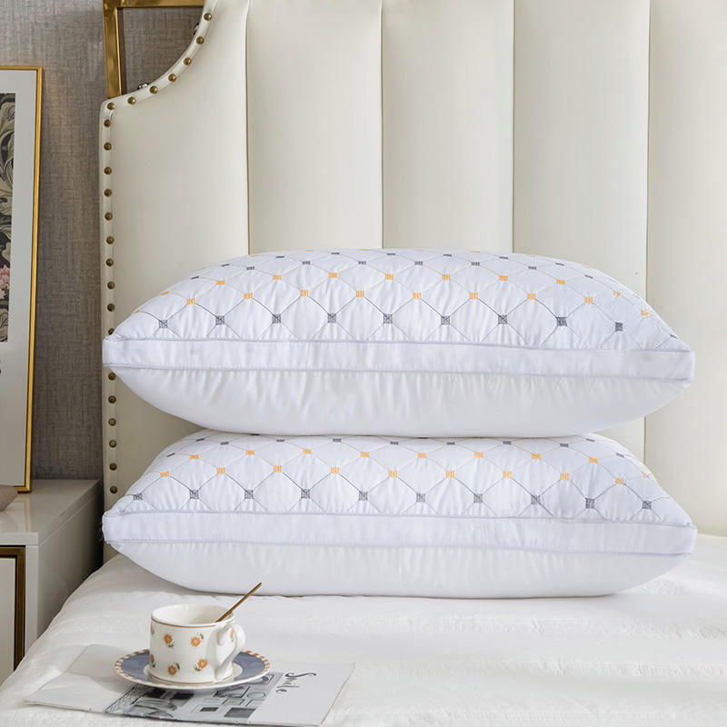 2-Pack Hotel Quality White Double-Border Pillow Insert (74x48cm) | 1000g Premium Polyester Fill for Luxurious Bed Decor, Starry Embroidered Pattern, Zips Closure, Comfortable & Breathable Home Sleep Pillows for Side/Back/Stomach Sleeper, 74*48cm