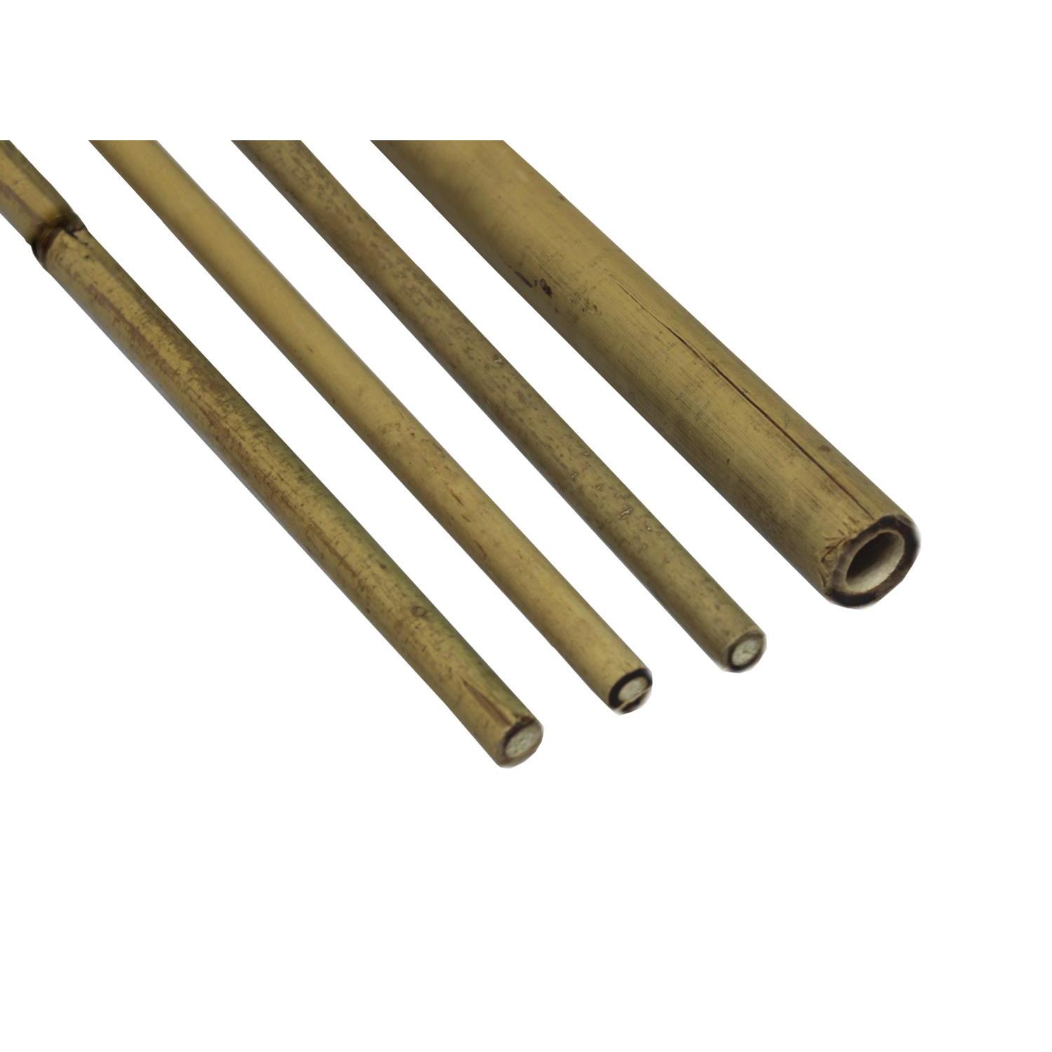Bamboo Plant Support, 200 Cm