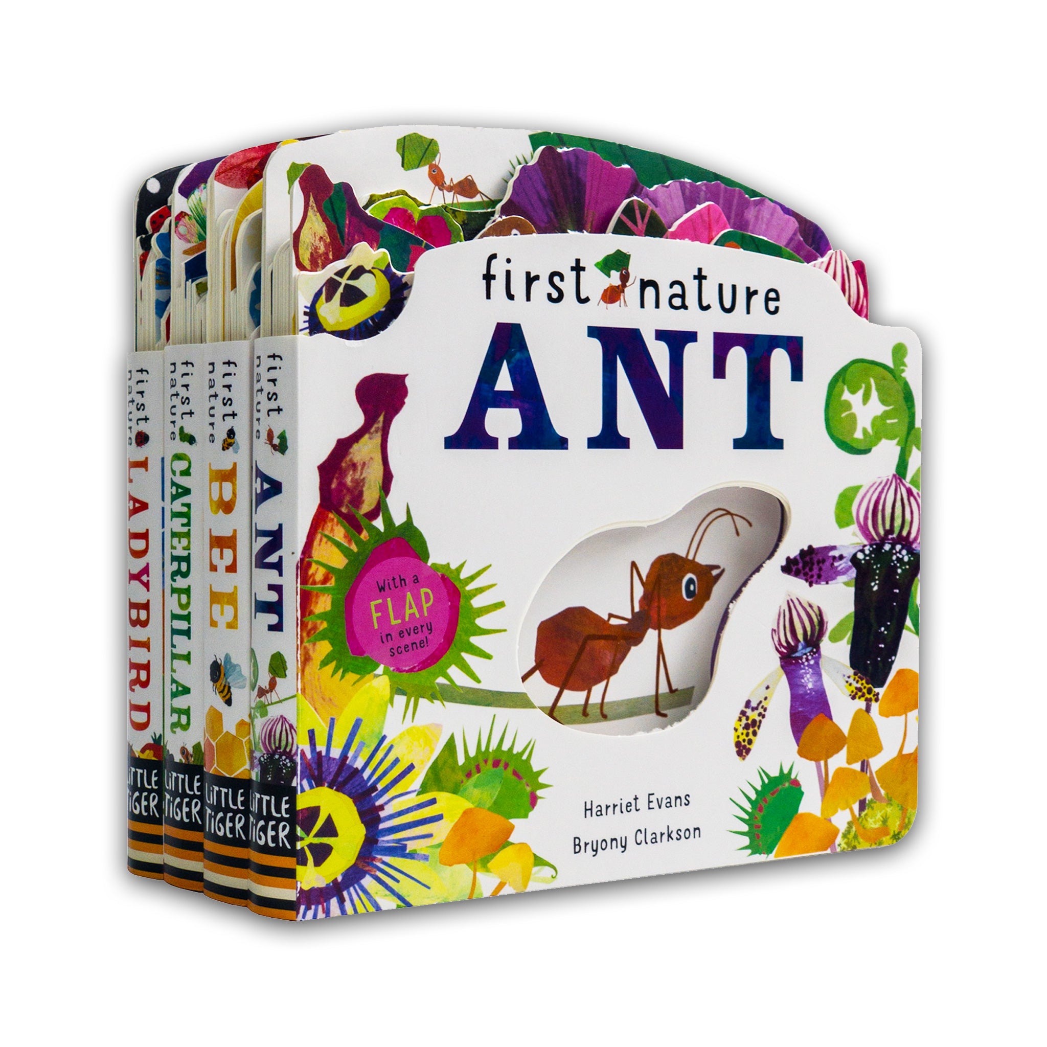 TEMU First Nature 4 Books Childrens Collection Set (ant, Bee, Caterpillar & Ladybird)