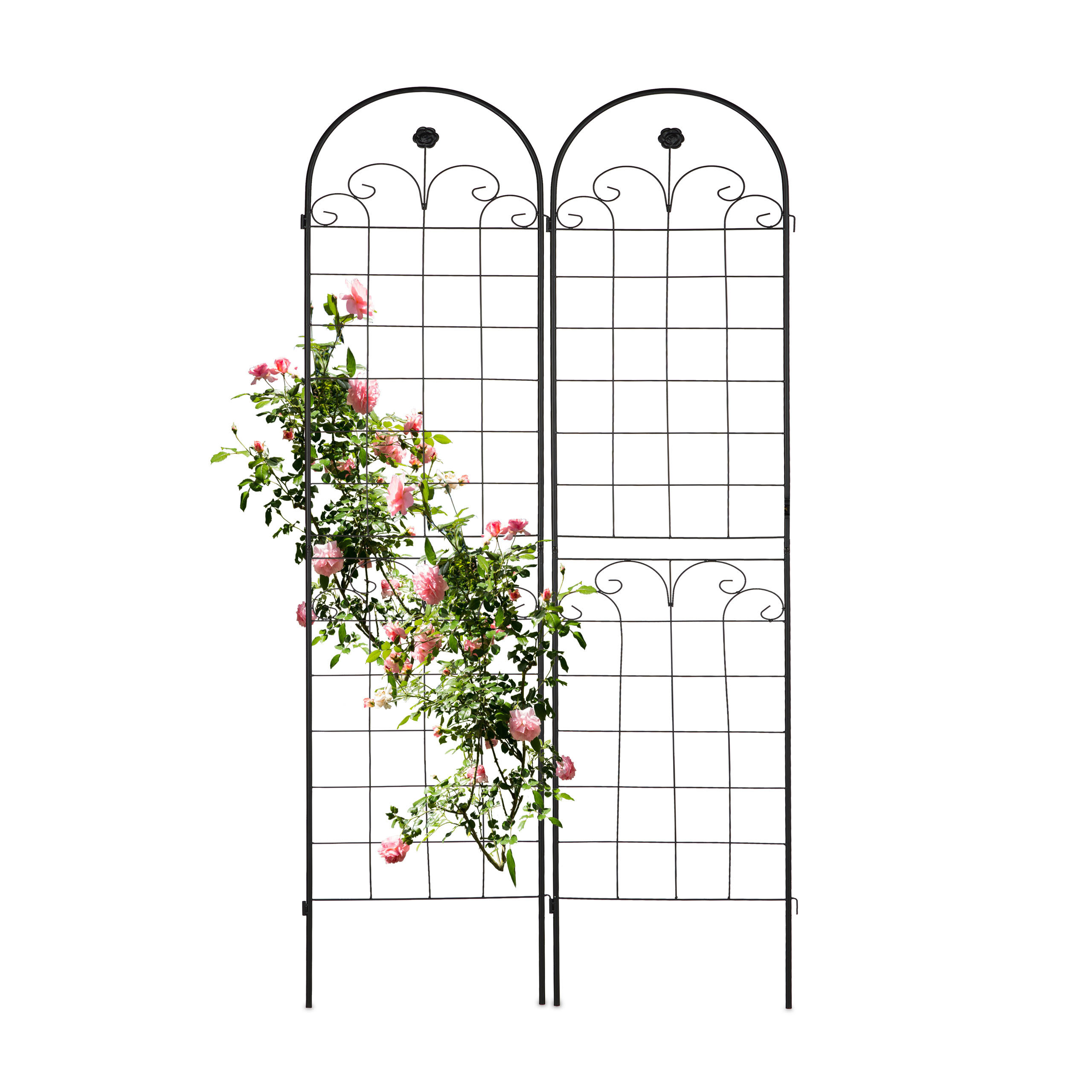 2 X Black Rankgitters - (w)50 X (h)180 Cm