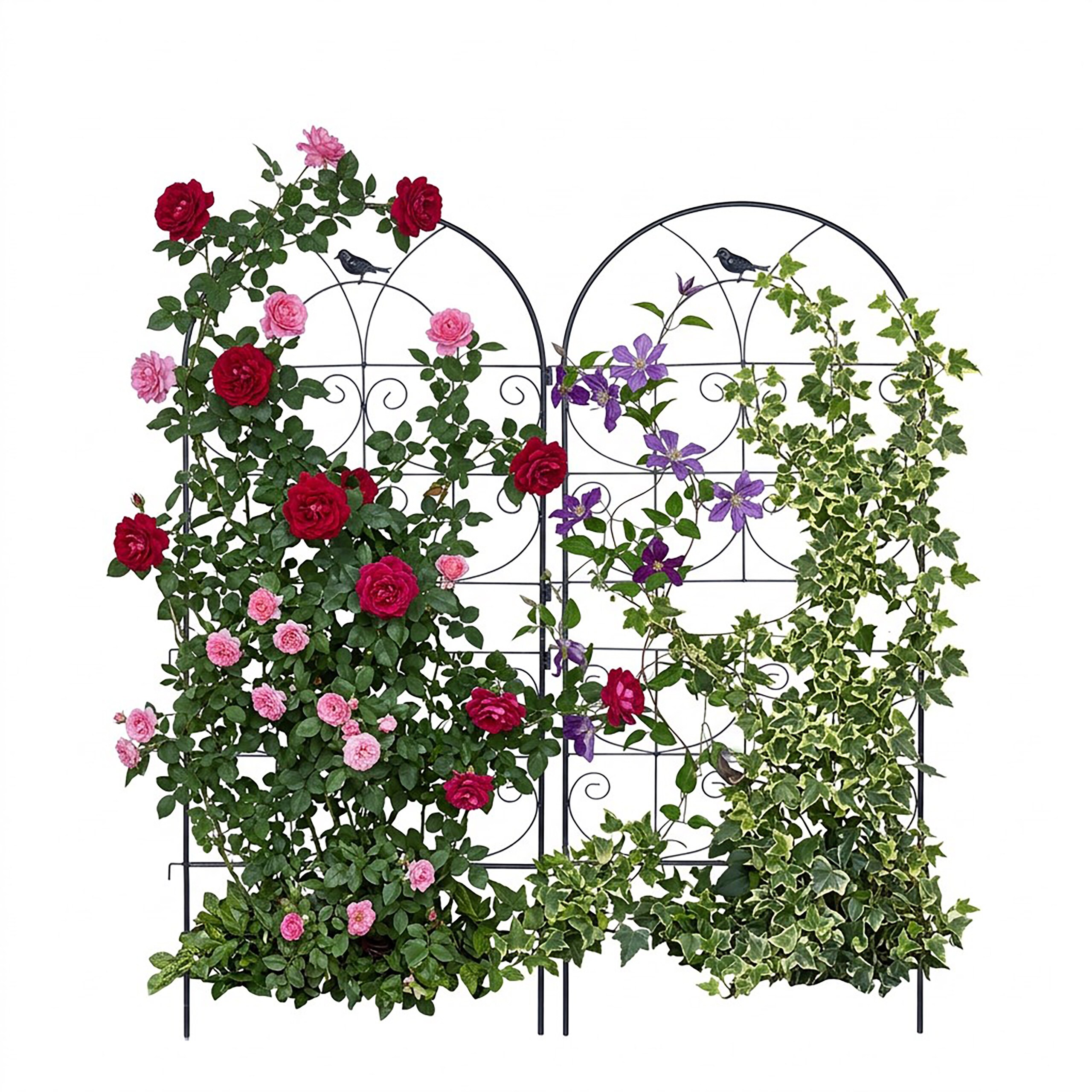 Image of 2 X "bird" Trellis In Black - (w)50 X (h)116 Cm