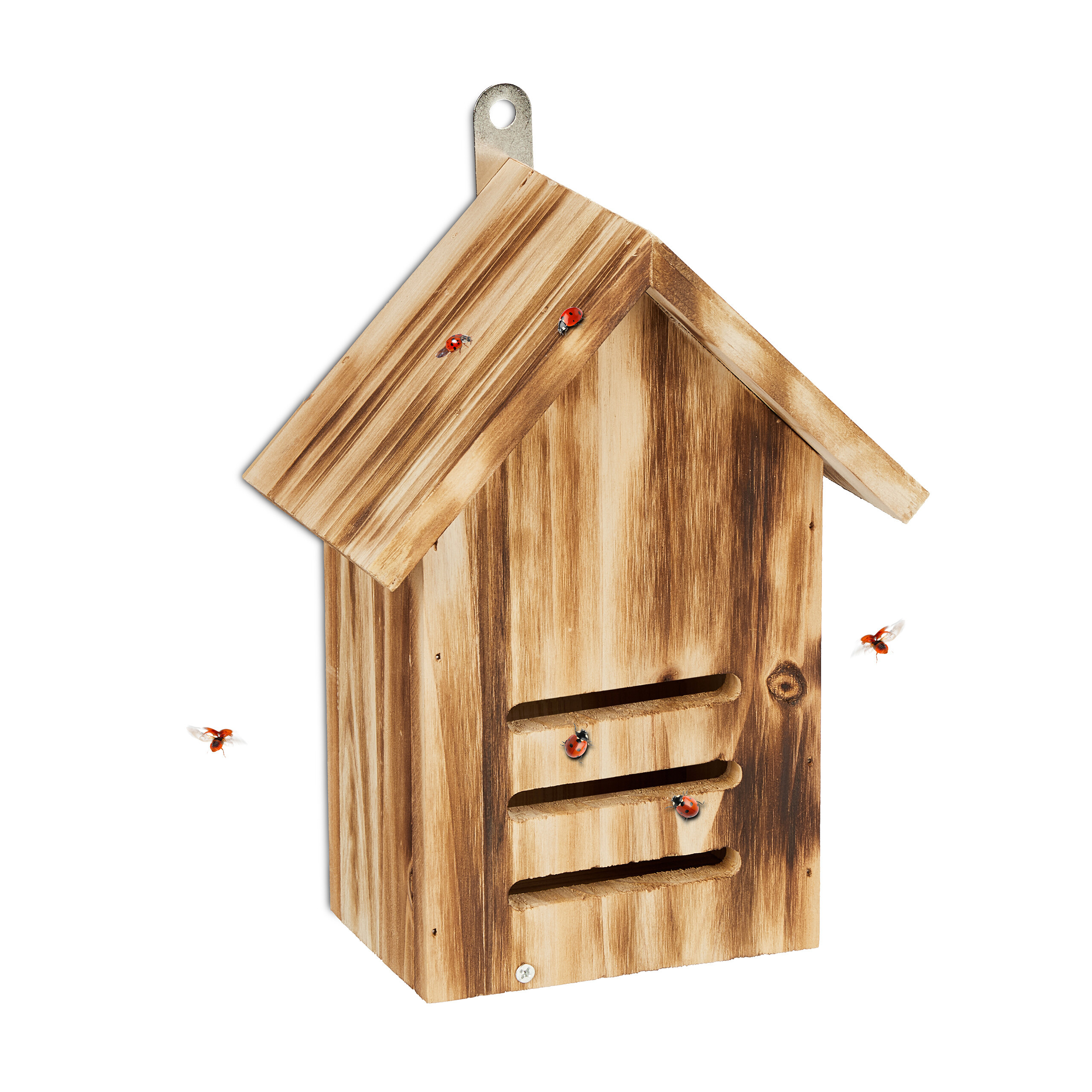 Ladybug House In - (w)17 X (h)22 X (d)10 Cm