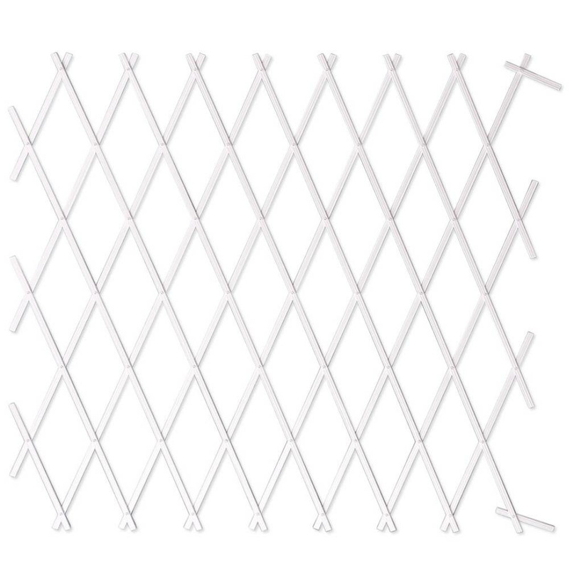 TEMU Treillis en plastique pour plantes grimpantes - Extensible en accordéon - Blanc - 200 x 100 cm - Support mural décoratif pour jardin et terrasse