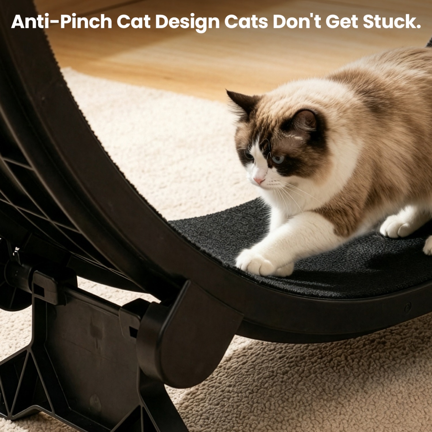 Large Cat Exercise Wheel, Indoor Pet Running Wheel
