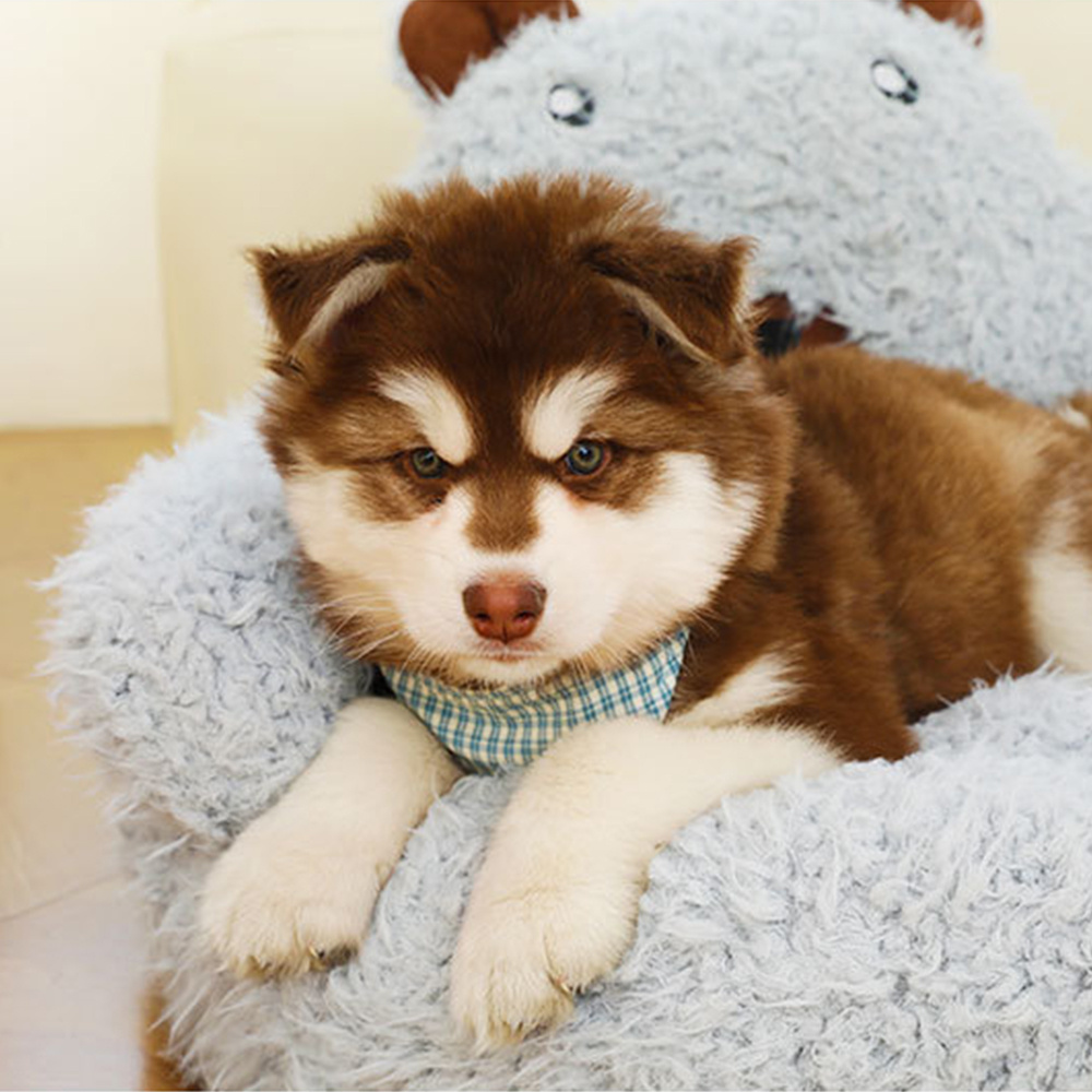 Alpaca-Shape Round Pet Couch, Soft Cat Nest Cave