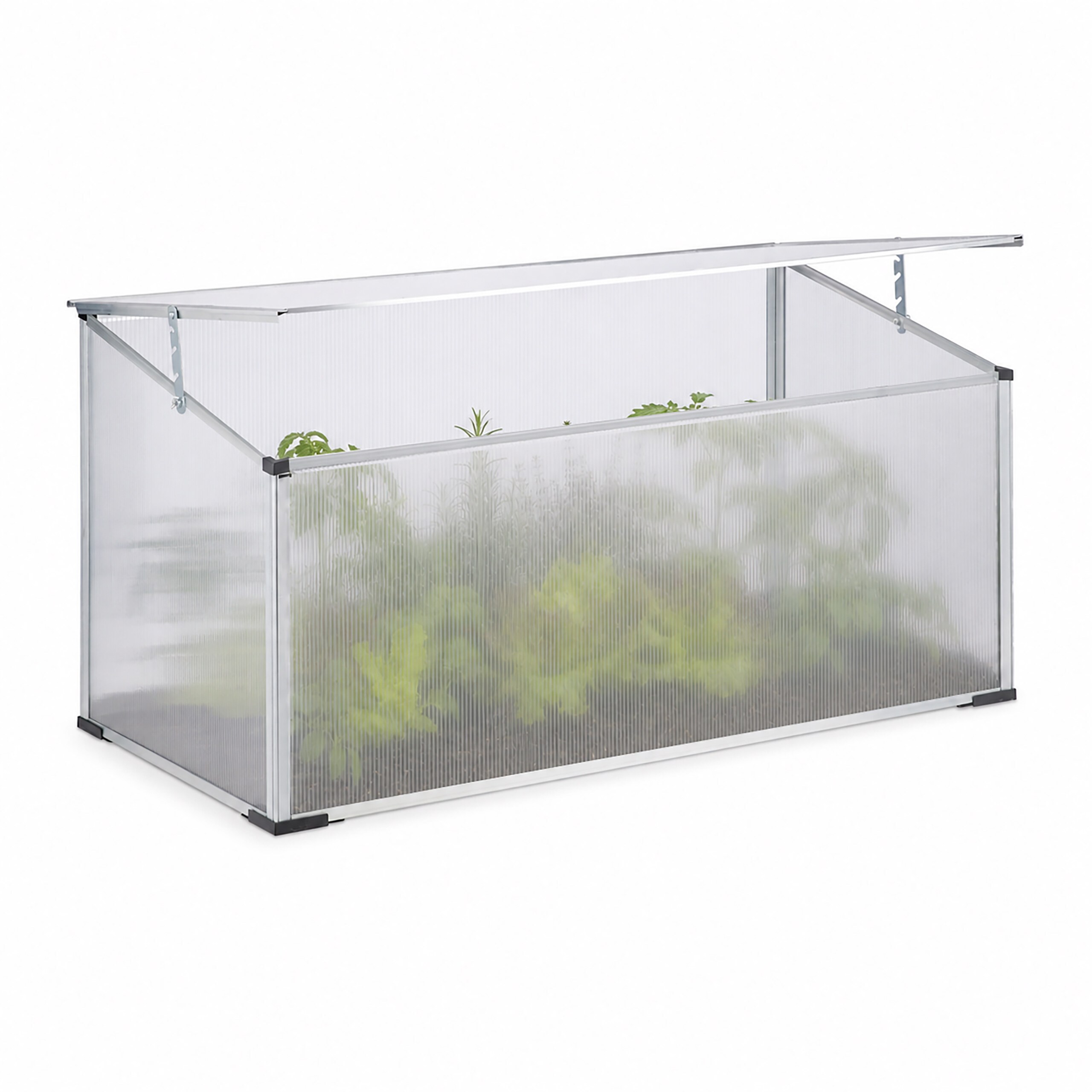 Transparent Cold Frame - (w)100 X (h)50 X (d)50 Cm