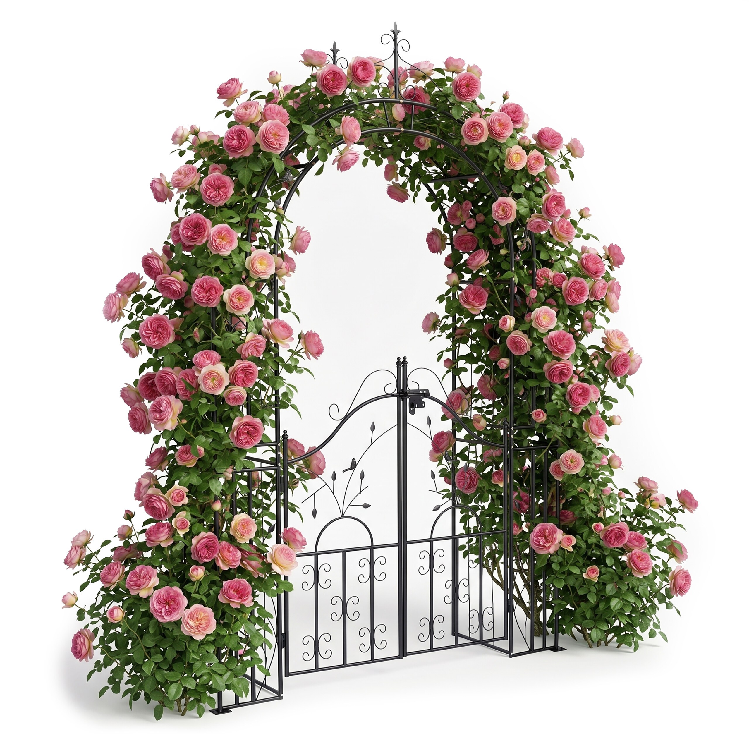 Image of Black Rose Arch - (w)144 X (h)235 X (d)