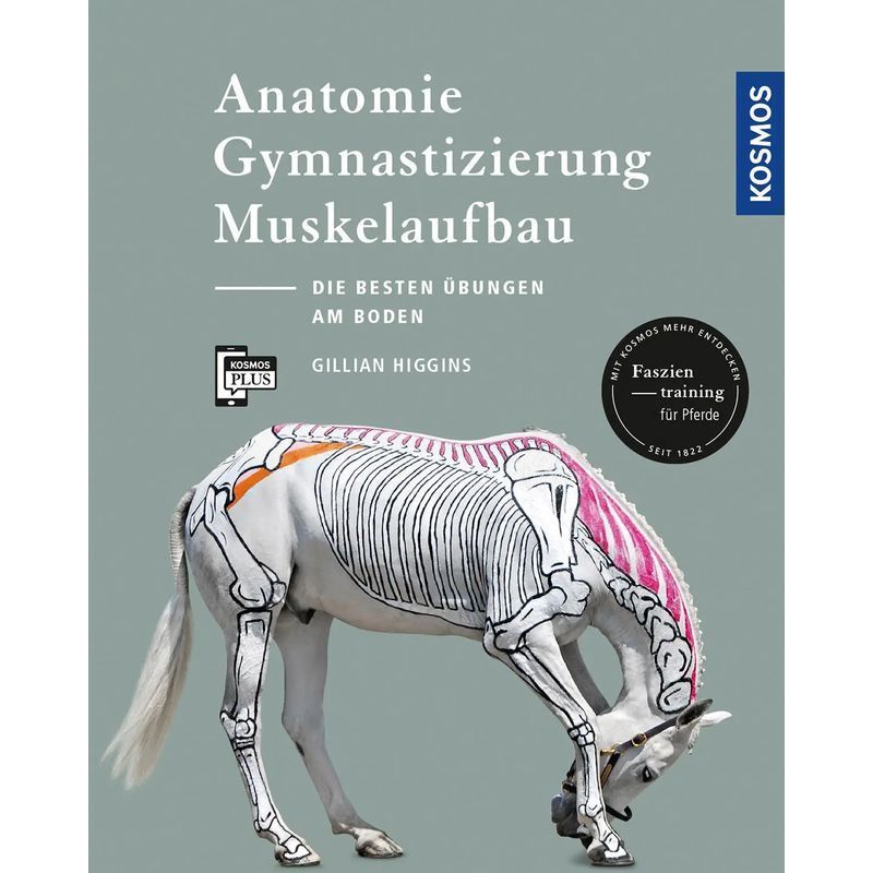 Image of Anatomy, Gymnasticization, Muscle Building - Paperback - The Best Exercises For Horses On The Ground - Gillian Higgins - 96 Pages - German - 2017 - Franckh Kosmos - Ean 9783440157442