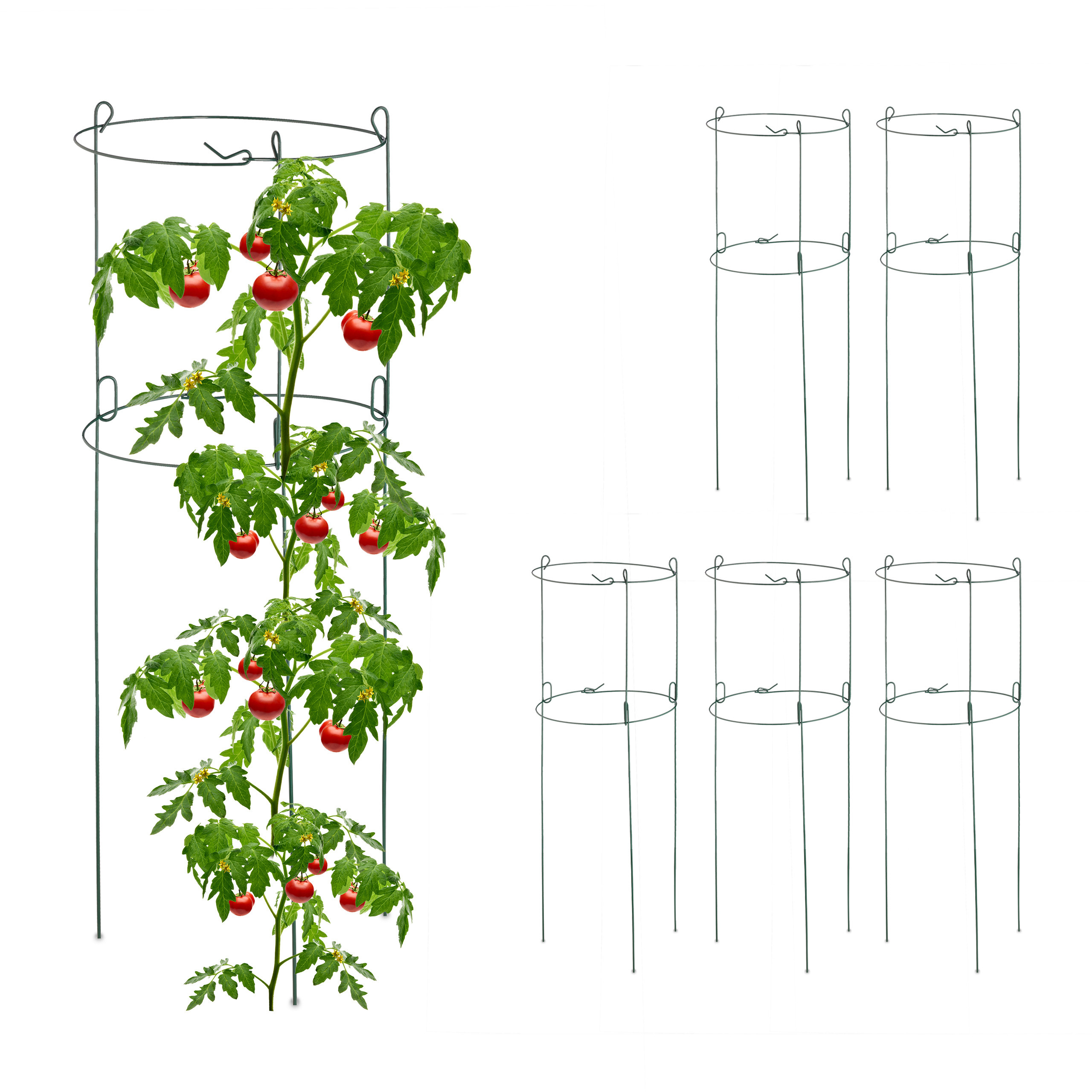 6 X Plant Support - (h)76 X Ø26 Cm