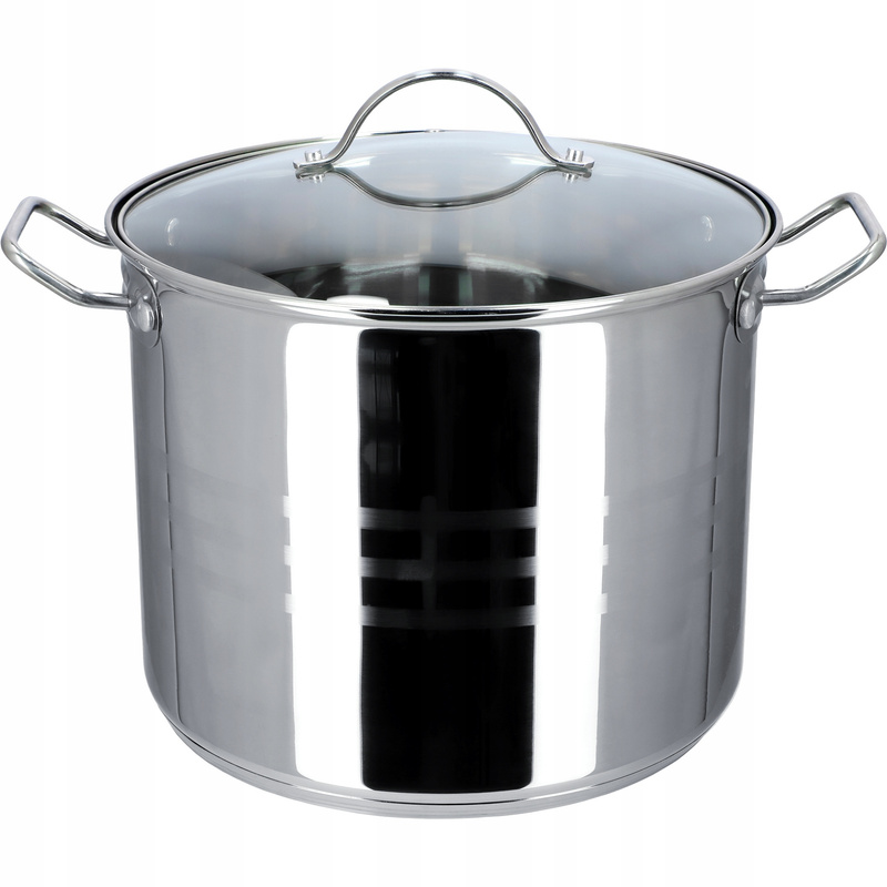 Kadax Induction Gas Pot With Lid, Large Stainless Steel, 24cm, 9l