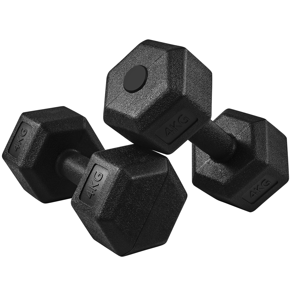 Costoffs Hexagon Dumbbell Set, Space-Saving Design for Home Gym